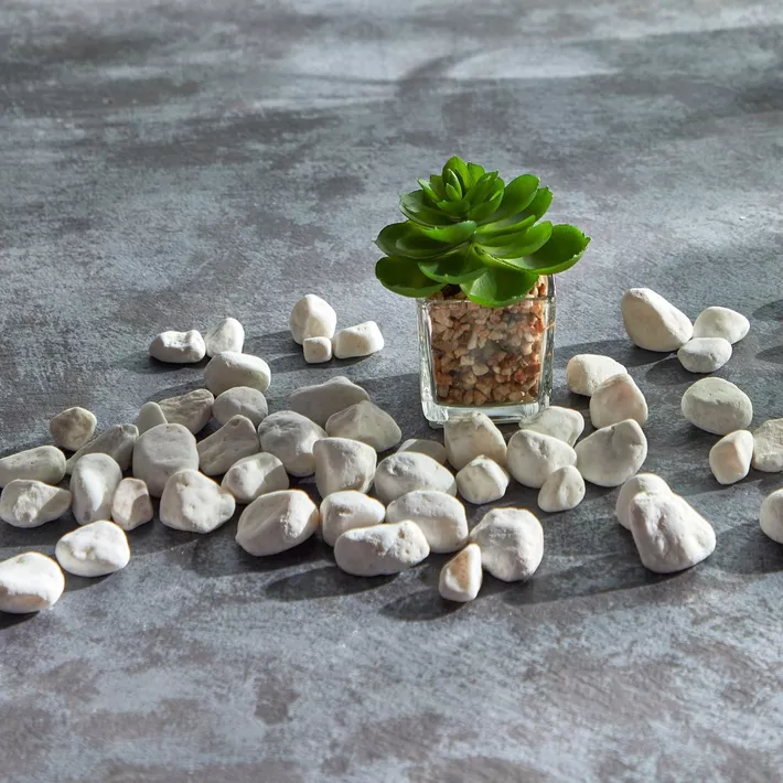 White decorative pebbles scattered on a grey surface around a small succulent in a glass pot